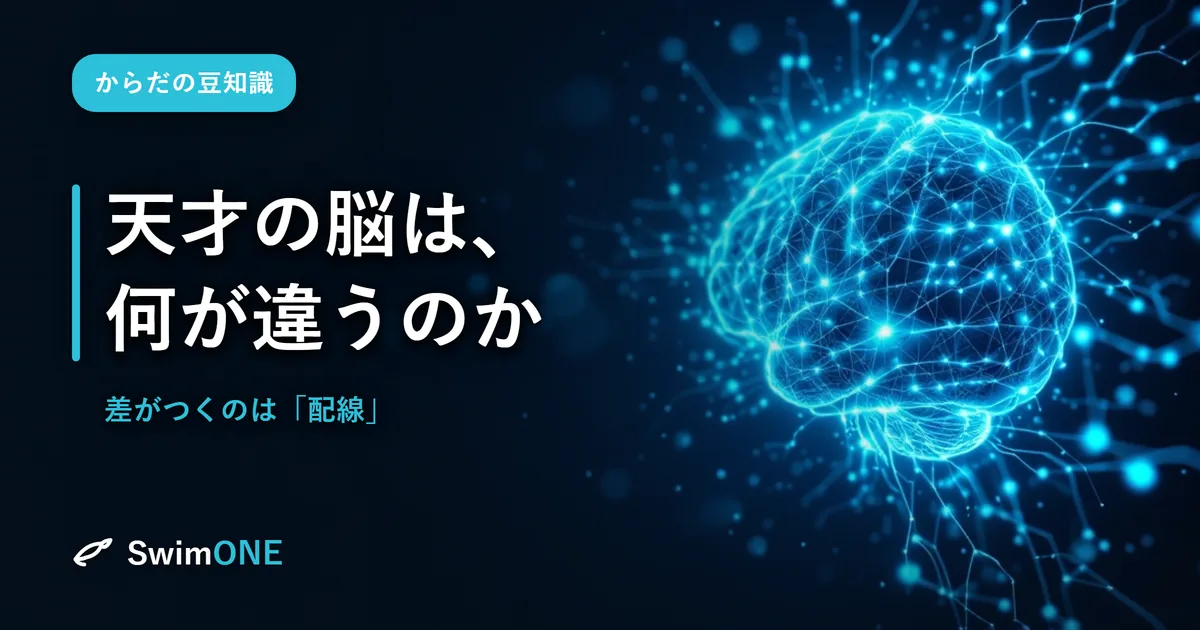 天才の脳は、何が違うのか——設計図はみんな同じ。差がつくのは
