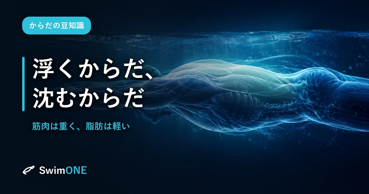 浮くからだ、沈むからだ——「筋肉は重く、脂肪は軽い」と競泳選手の体脂肪の話