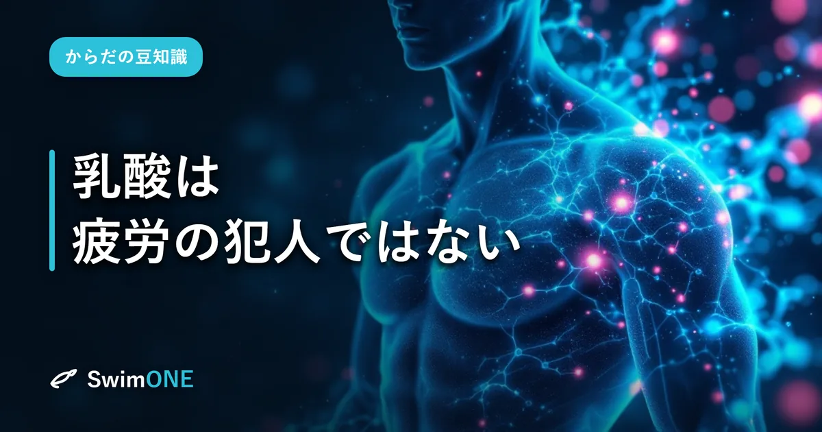 乳酸は「疲労の犯人」ではない——競泳選手がいちばん誤解している物質の科学