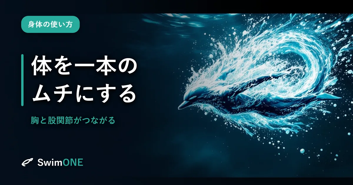 体を一本のムチにする——胸と股関節が
